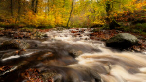 La Hoegne - Ardennen - Fotografie Krist