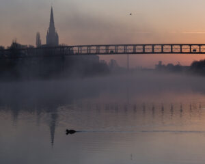 Zonsopkomst langs de Leie te Wervik