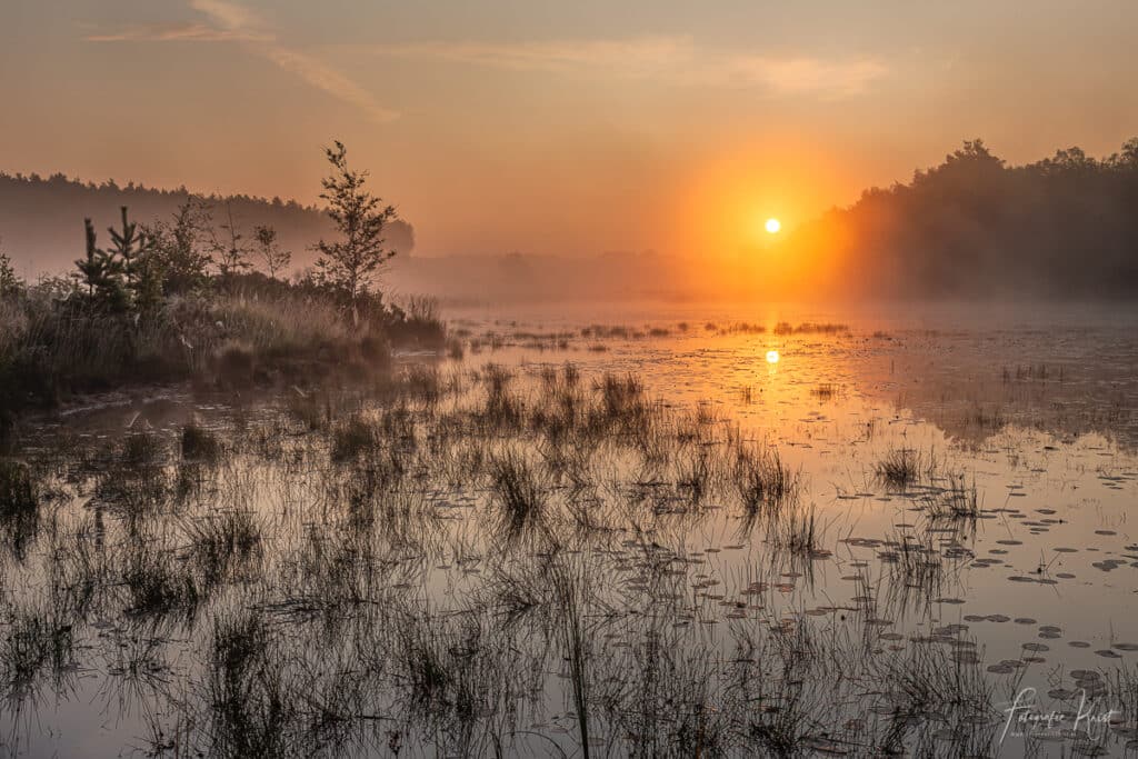 sfeervolle zonsopkomst aan de teut in zonhoven