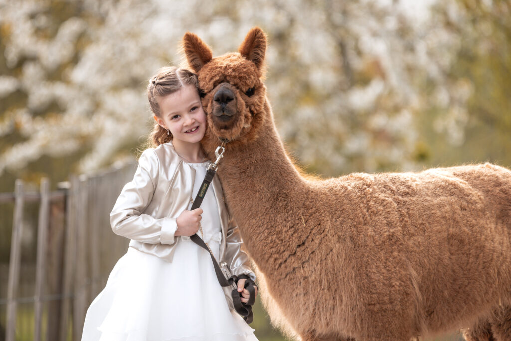 Communiesessies op de Alpaca Boerderij