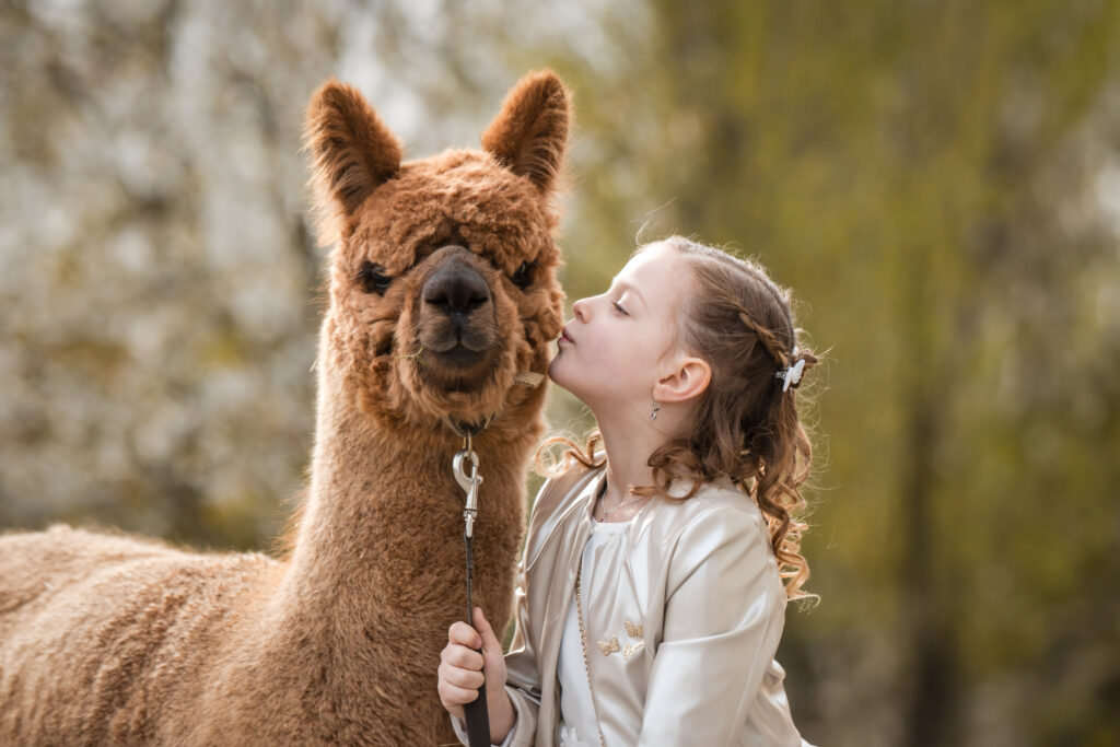 Communiesessies op de Alpaca Boerderij