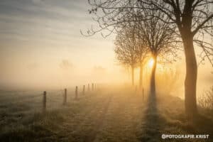 Mistige-ochtend-langs-de-Leie-in-Menen-FotografieKrist